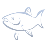 Классика вкуса